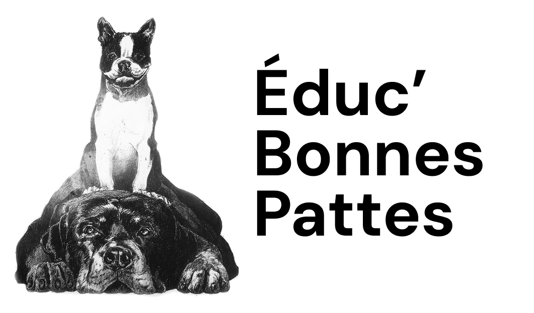Éduc Bonnes Pattes